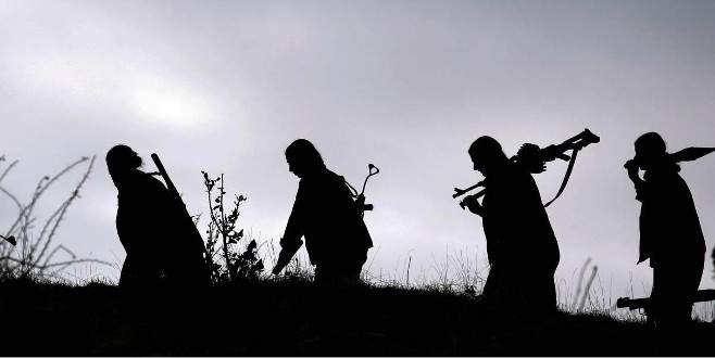 Bir üst düzey PKK’lı daha öldürüldü