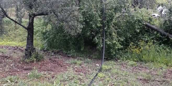 Bursa’da telefon kablosu hırsızlığı