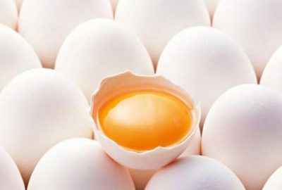 Yumurta ihracatında sert düşüş