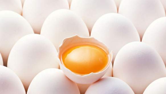 Yumurta ihracatında sert düşüş