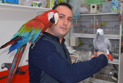 ’10 yılda 10 binden fazla papağan eğittim’