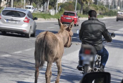 Eşeğini motosikletiyle çekince…