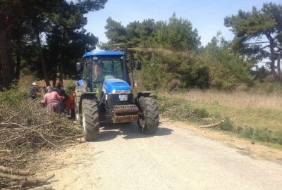 Şehitlik Alanlarında Çevre Temizliği Yapıldı