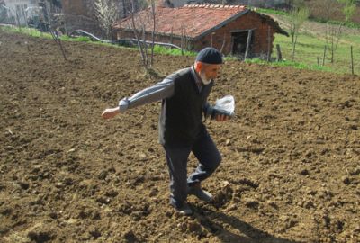 Büyükorhan’da aromatik üretim