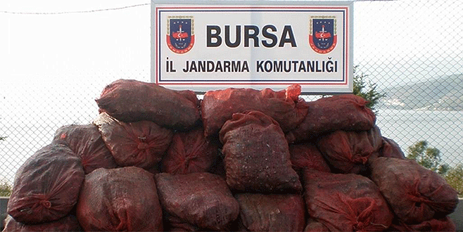 Bursa’da midye operasyonu