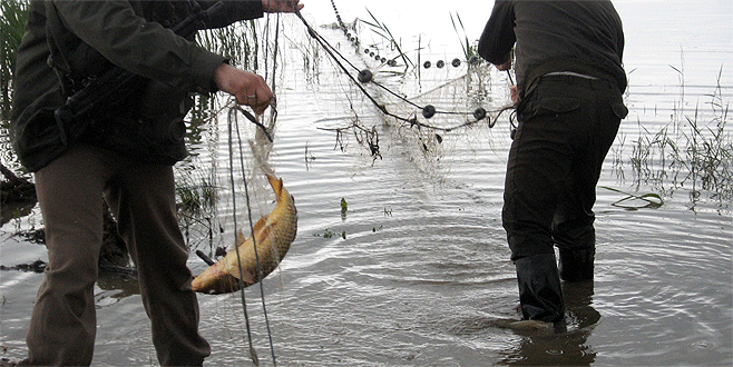 Bursa’da kaçak ava ceza yağdı