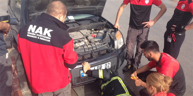 Bursa’da kedi kurtarma operasyonu