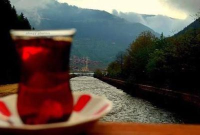 Türkiye’de çay tüketiminin fazla olduğunu söyleyen Diş Hekimi Yalçın Erdin'e