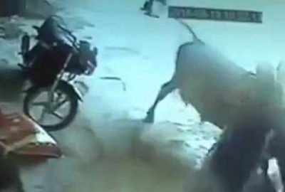 Bu görüntüler içinizi ürpertecek!