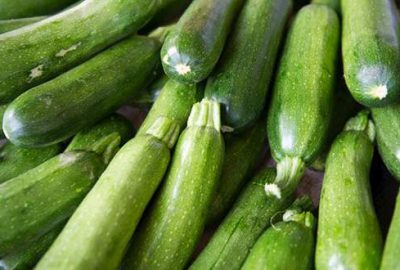 Rusya kabağa resmen dur dedi!