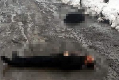 Yol ortasındaki cesetlerin sırrı çözüldü