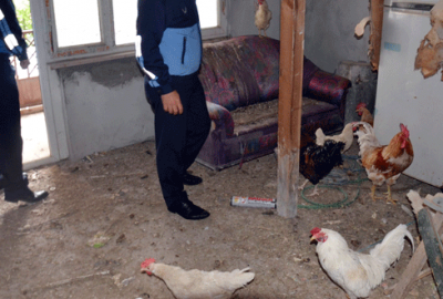 Bursa’da polis ve zabıta ‘çöp ev’ diye gitti, şok yaşandı