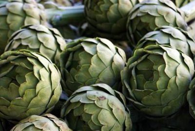 ‘Marmara’nın enginarcısı’ Hasanağa’da yüzler gülüyor