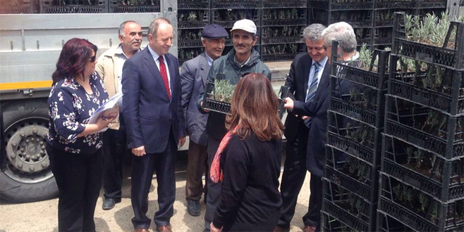 Uludağ lavanta kokacak