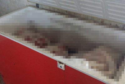 5 ton kaçak domuz eti ele geçirildi