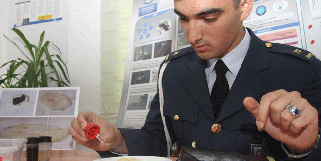 Denizlerin fatihi patlıcan olacak