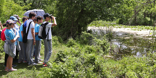 Bursa’da 700 öğrenciye longoz ormanlarında eğitim