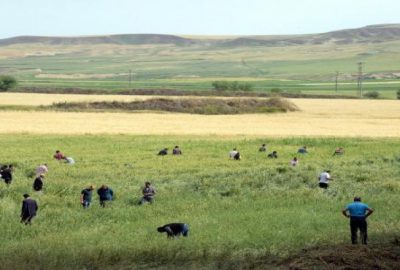 Diyarbakır’daki patlamanın şiddeti gün ağarınca ortaya çıktı