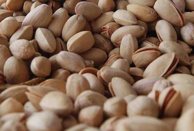 ‘Yeşil altın’da rekolte düşüşü bekleniyor