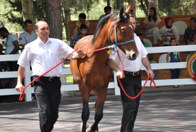 Bursa’da dudak uçuklatan fiyata satıldılar