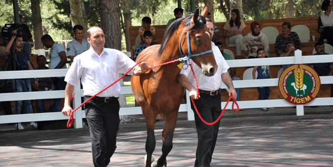 Bursa’da dudak uçuklatan fiyata satıldılar