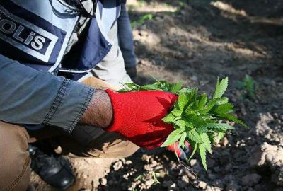 Hevsel Bahçeleri’nde uyuşturucu operasyonu