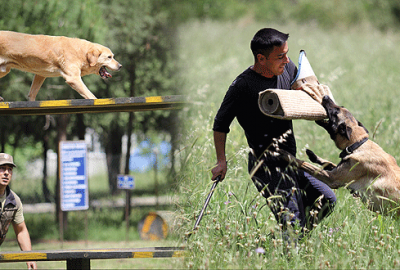 TSK’nın görünmez kahramanlarından nefes kesen gösteri