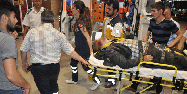 Bursa’da kamyonet at arabasını biçti!