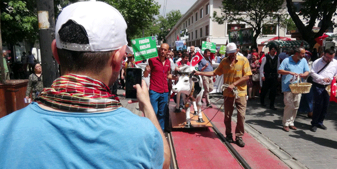 Bursa’da maket inekle selfie yarışı Bursa’da maket inekle selfie yarışı
