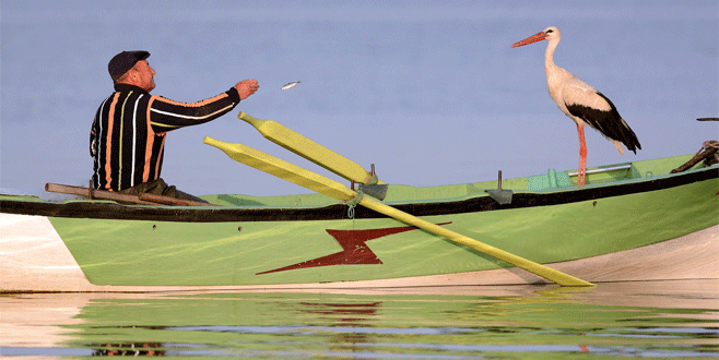 Bursa’da leylekle balıkçının dostluğu şaşırtıyor