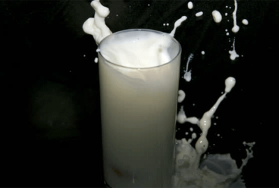 Eşek ve at sütü altınla yarışıyor