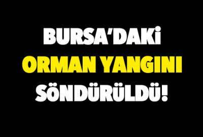 Bursa’daki orman yangını söndürüldü!