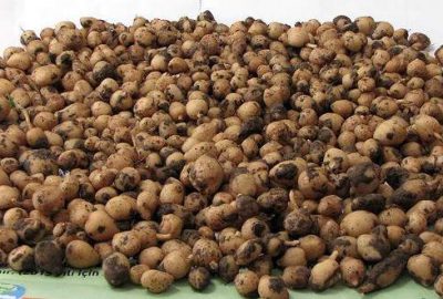 Ormandan topladı, 40 bin lira ceza ödeyecek