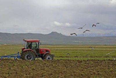 Tarım ÜFE mayısta arttı
