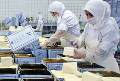 Süt mamulü üreticilerine büyük destek