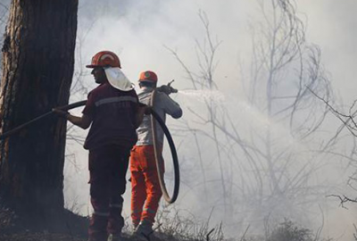 Turizmin kalbinde orman yangını! Ekipler bölgede…