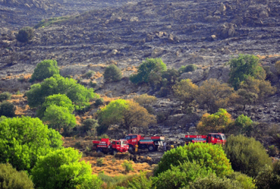 Bodrum’daki yangın kontrol altına alındı