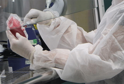 Gizemli hastalık 10 can aldı