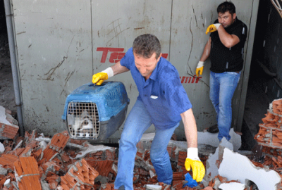 Bursa’da işçinin dikkati 10 köpek yavrusunu kurtardı