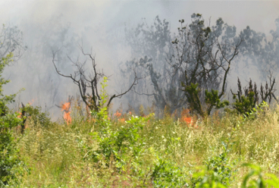 Bursa’da korkutan yangın!
