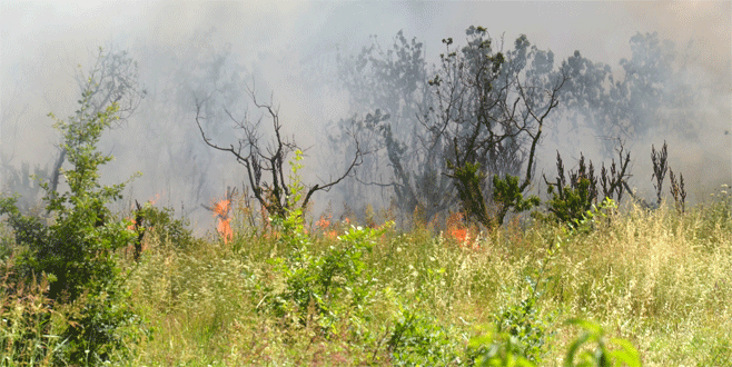 Bursa’da korkutan yangın!