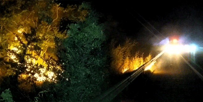 Bursa’da korkutan yangın: 3 dönüm zeytinlik kül oldu