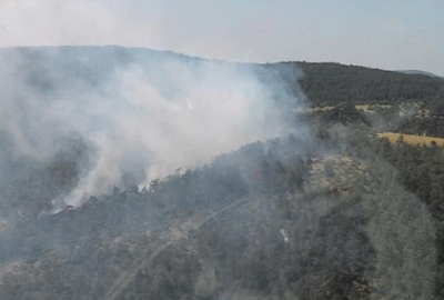Bursa’da orman yangını