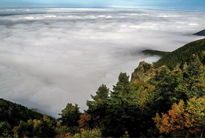 Bursalı iki fotoğrafçı Dünya Kupası’nda