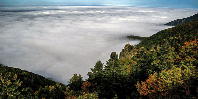 Bursalı iki fotoğrafçı Dünya Kupası’nda
