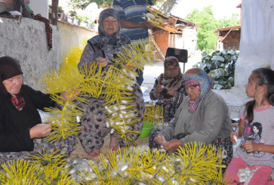 Bursa’da 40 günde 5 bin 500 lira kazandırıyor