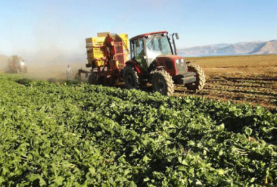 Genç çiftçilere müjde: Bugün açıklanıyor