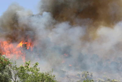 Bakandan Antalya’daki orman yangınına ilişkin açıklama