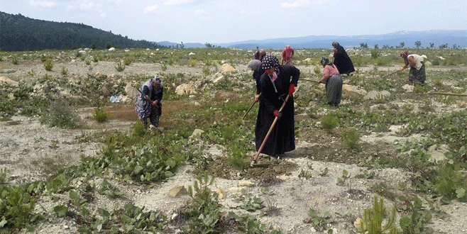 Bursa’da köylü kadınlara ek gelir kapısı