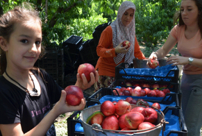 Şeftali üreticileri ‘mektup’la umutlandı